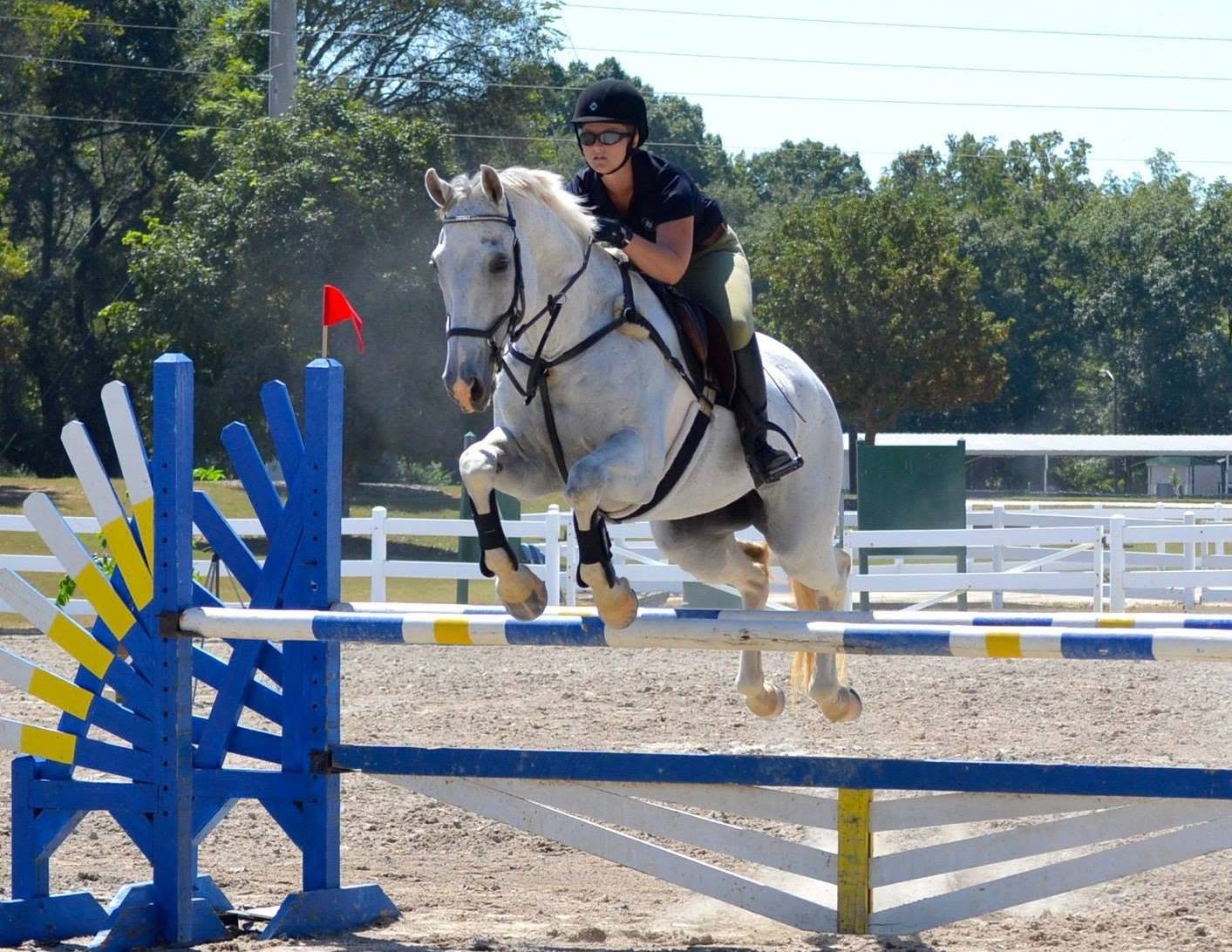 Caroline Templeton riding Pepperjack over a jump in the arena at Ashland Farm