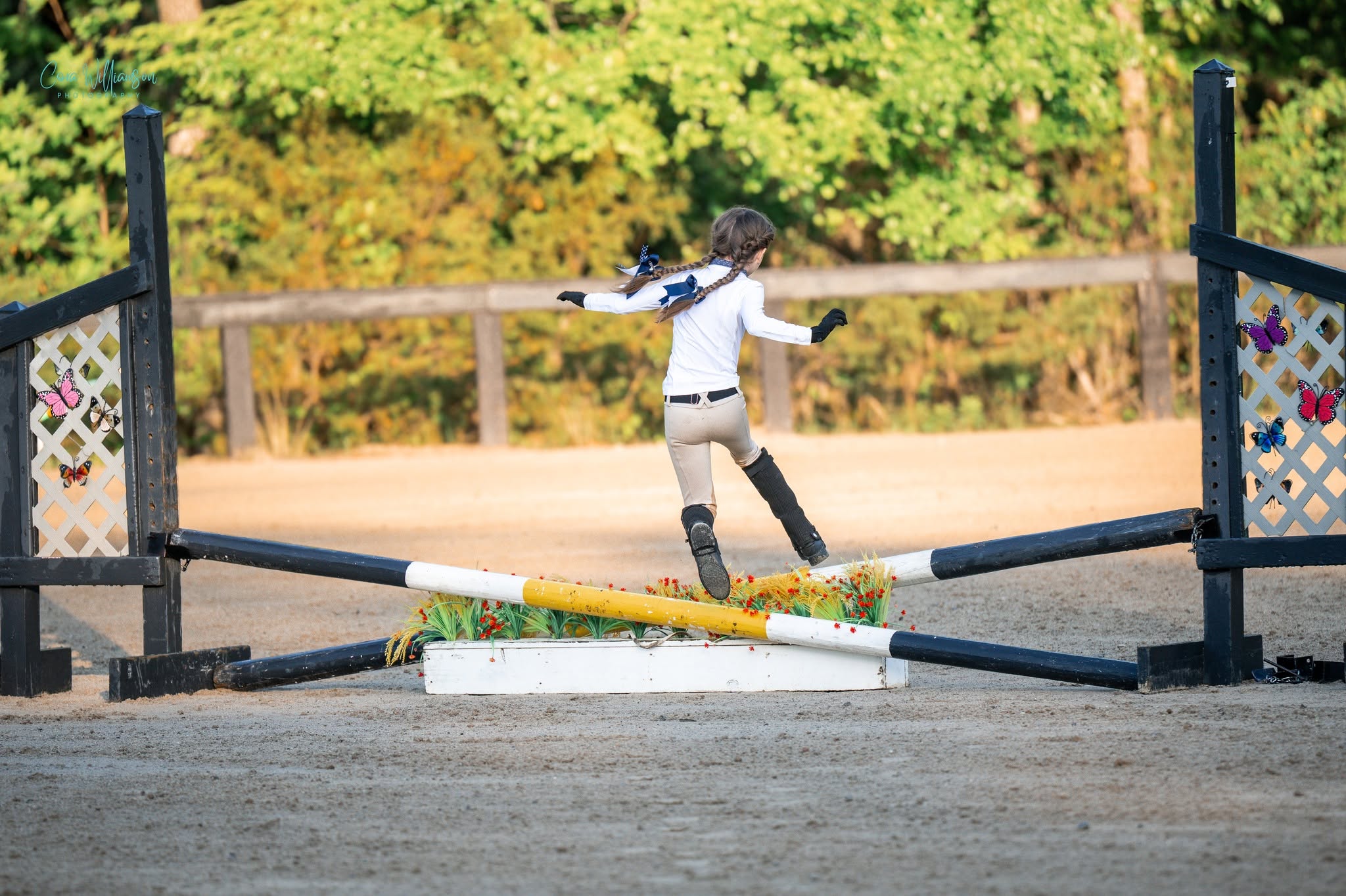 A young rider on foot leaping over a colorful jump rail in the golden evening light