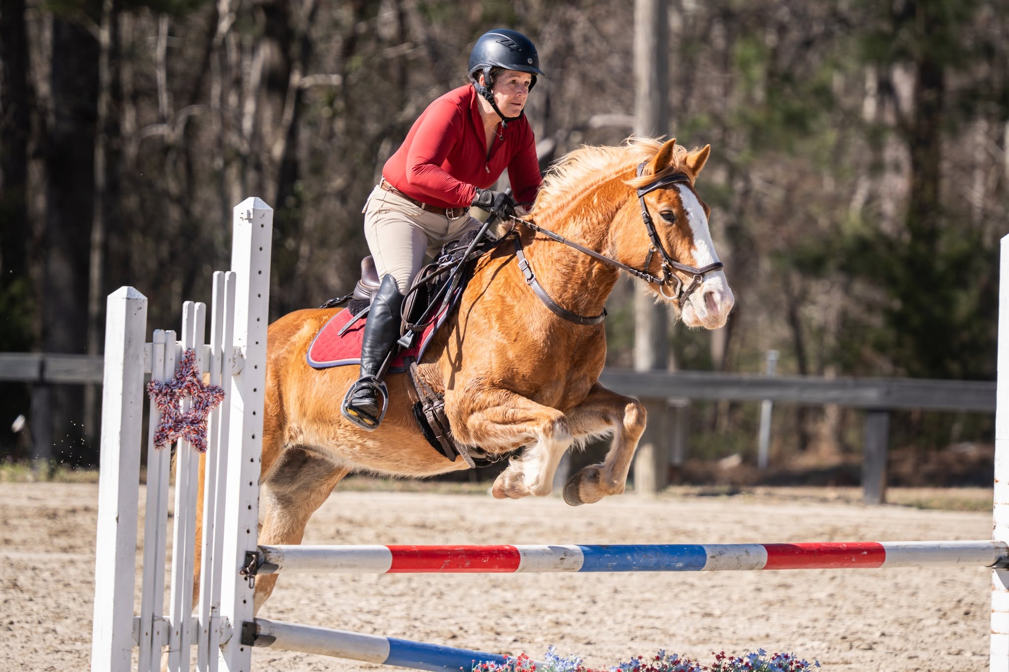 A palomino horse and rider in a red shirt jumping a brightly painted oxer on a sunny day